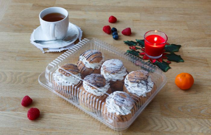 Läbipaistev suur toidukarp SL420 taaskasutatud plastikust, mõõdud 265×165×100 mm