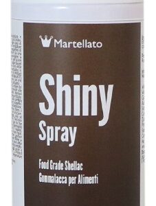 Toidulakk spray 300ml