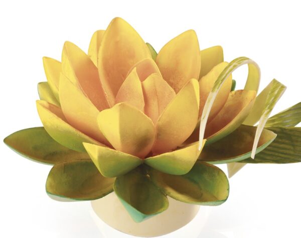 Šokolaadivorm LOTUS FLOWER 6/ 105x50xh.25mm