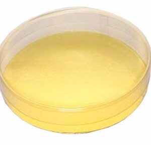 Läbipaistev ümar Ø150 h.30mm kuldne põhi