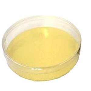 Läbipaistev ümar Ø95 h.30mm magustoidukarp kuldse põhjaga