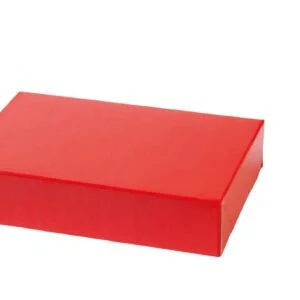 Kartongist karp 23x15x5cm PUNANE - Image 4